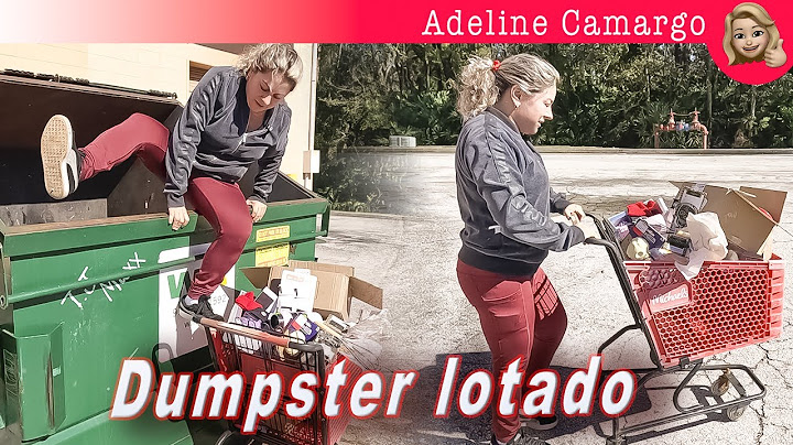 Enchi dois carinhos de coisas no dumpster da loja