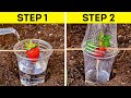 Smart Gardening Hacks To Easily Grow Your Own Plants