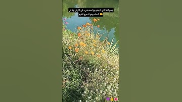 لا تترك أذكار الصباح والمساء 👂👂#صلوا_على_النبي #اكسبلورر
