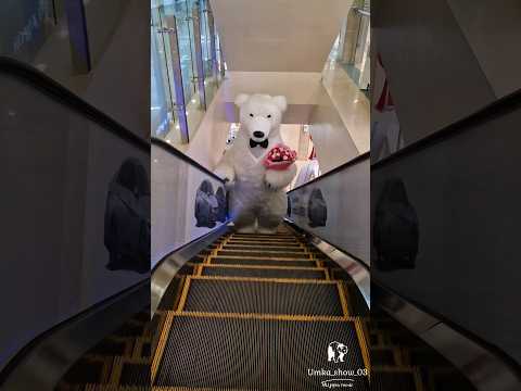 Заряжайся атмосферой праздника вместе с umka_show_03 🐻❄️🐰🐼. #shorts