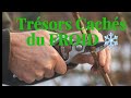 Récolte d'hiver au potager : Les trésors qui résistent au gel ! 🌿❄️