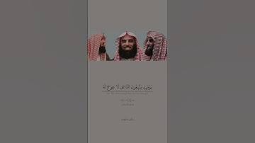 وَيَسْأَلُونَكَ عَنِ الْجِبَالِ فَقُلْ يَنْسِفُهَا رَبِّي نَسْفًا || سورة طه || القارئ محمد اللحيدان