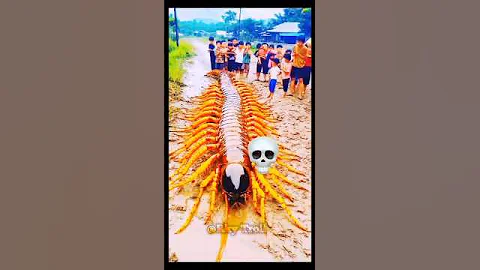 Power of transformation.. 💀