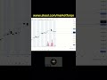 Day trading market analysis