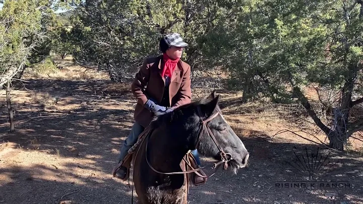 The Juniper-Pinyon Woodland. Mini Documentary on t...