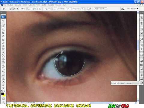 Tutorial Photoshop CS - come cambiare il colore degl&#;occhi scuri Tutorial Photoshop CS - come cambiare il colore degl&#;occhi scuri