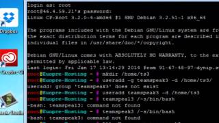 TS3 Installation RootServer