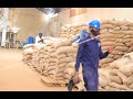 The HERMES COFFEE FACTORY story from the farm to the cup