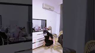 سكس عربي محارم مايا خليفة مترجم افلام اباحيه افلام