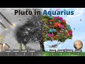 HOPE For The Future: Pluto In Aquarius (2024-2044)