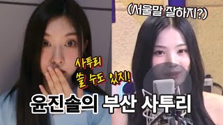 [엔믹스] 지니x배이의 매력적인 부산 사투리