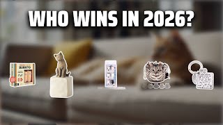 The Top 5 Best Cat Lover Gifts in 2026 - Must Watch Before Buying!