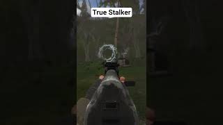 TRUE STALKER #stalker #игры #truestalker #stalker2 #shadow #youtube #shorts