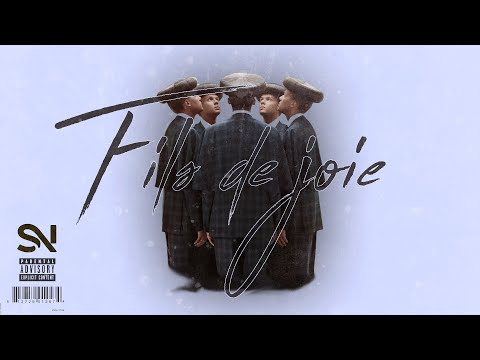 Stromae Fils De Joie Seshnolan Remix Tik Tok Sound