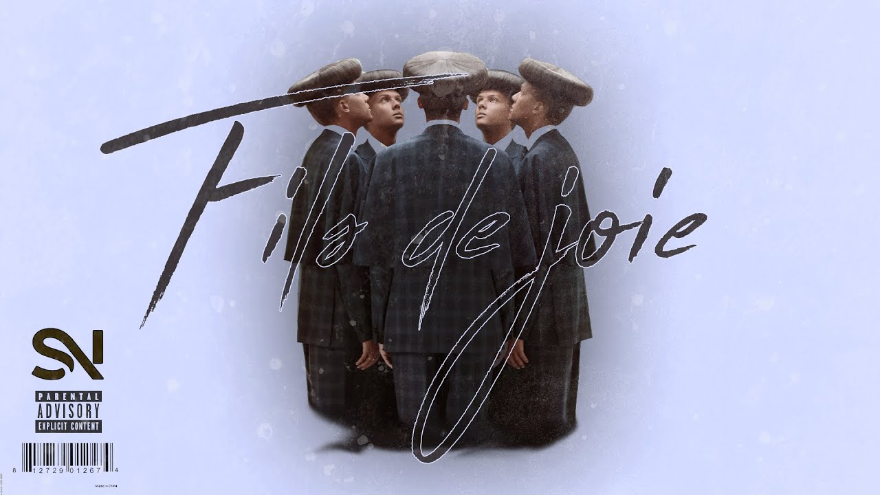 Stromae - Fils de joie (Seshnolan remix) *Tik Tok Sound* Stromae - Fils de joie (Seshnolan remix) *Tik Tok Sound*