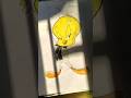 bird drawing l cute tweety drawing l colouring video #viral #art #easydrawing
