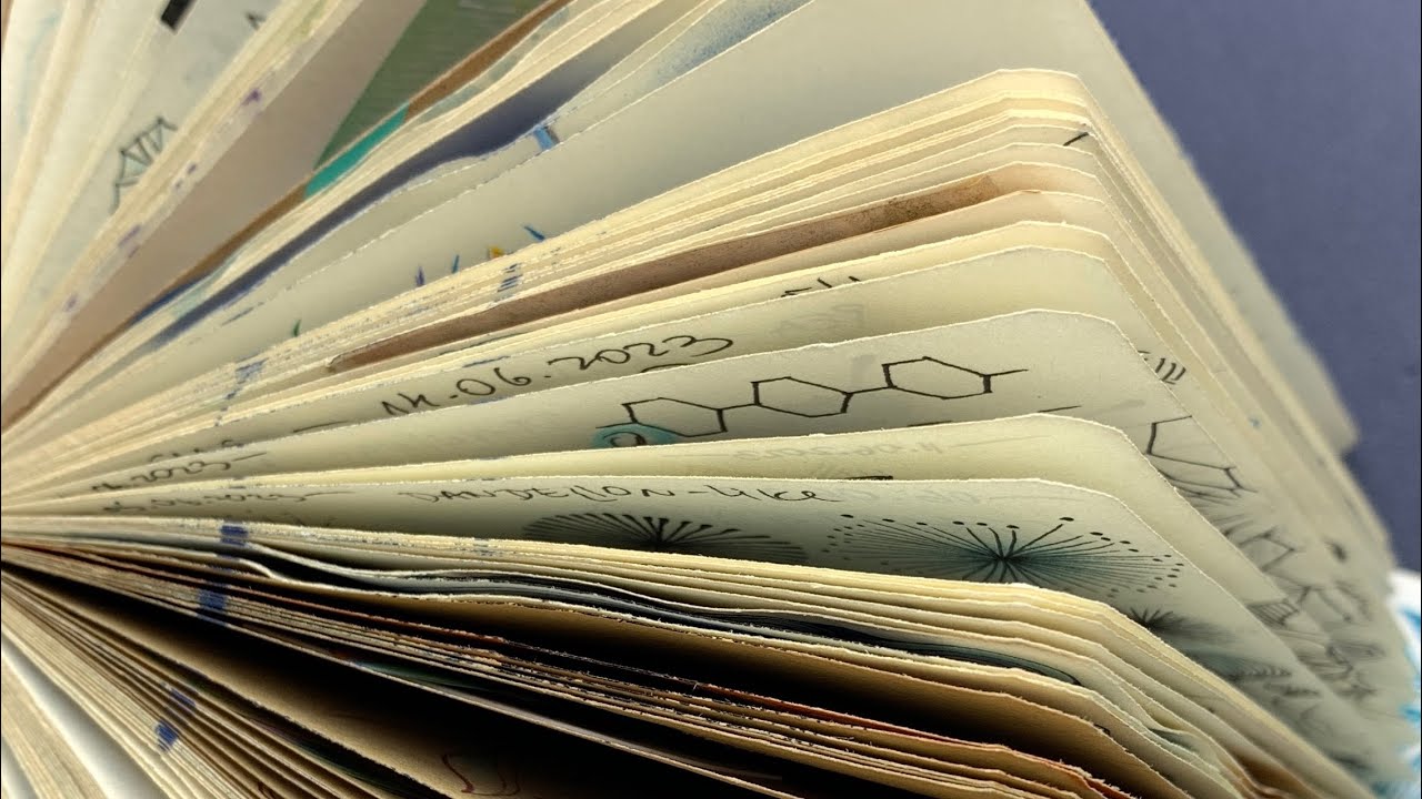 Flipping Through 980 Days Of Sketching YouTube flipping-through-980-days-of-sketching-youtube