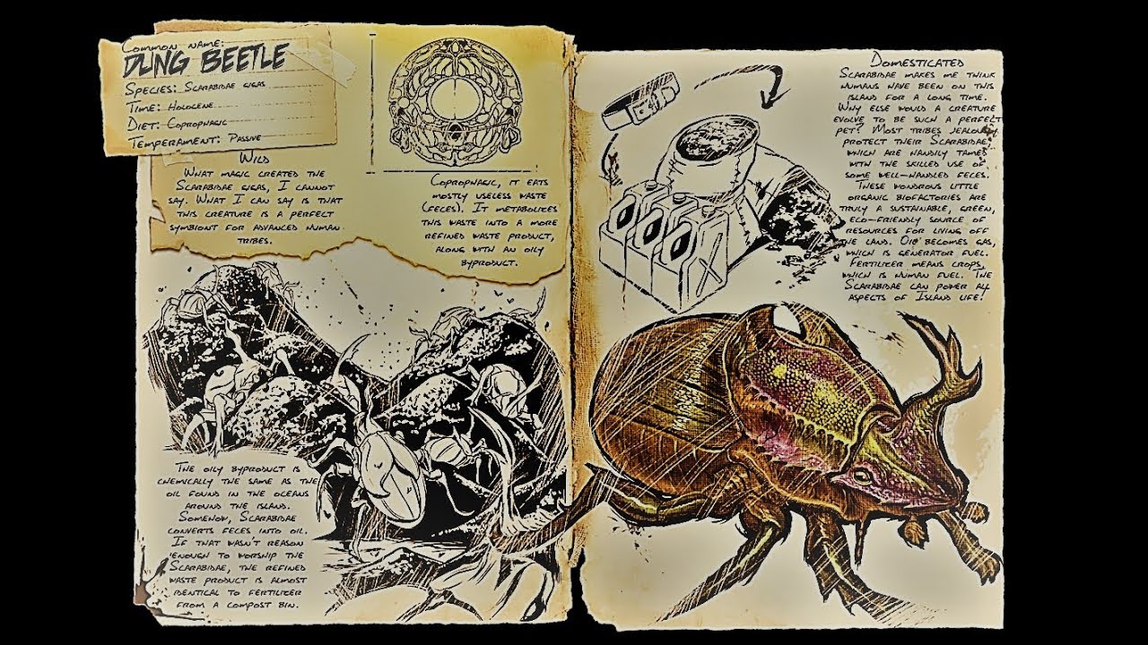 Dung Beetle (Mistkfer) Zhmen | Tutorial | Ark Survival Evolved