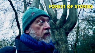 London’s Arcadia in the East - Winter walk through Epping Forest (4K)