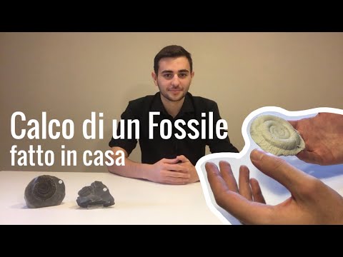 Video: Come si applica la farina fossile in casa?