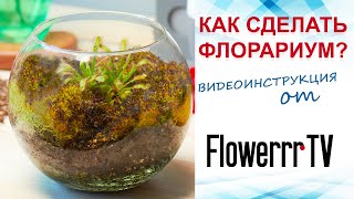 Как сделать хищный флорариум?