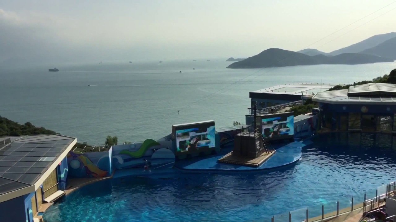 劇場版free Timeless Medley 絆主題歌賛美曲 Youtube