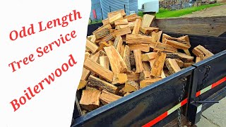 Odd Length Tree Service Makes Boilerwood.