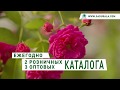 Каталог "Весна 2020". Питомник "Сады Урала"