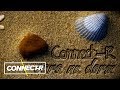 Connect-R - Vara Nu Dorm | Radio Version