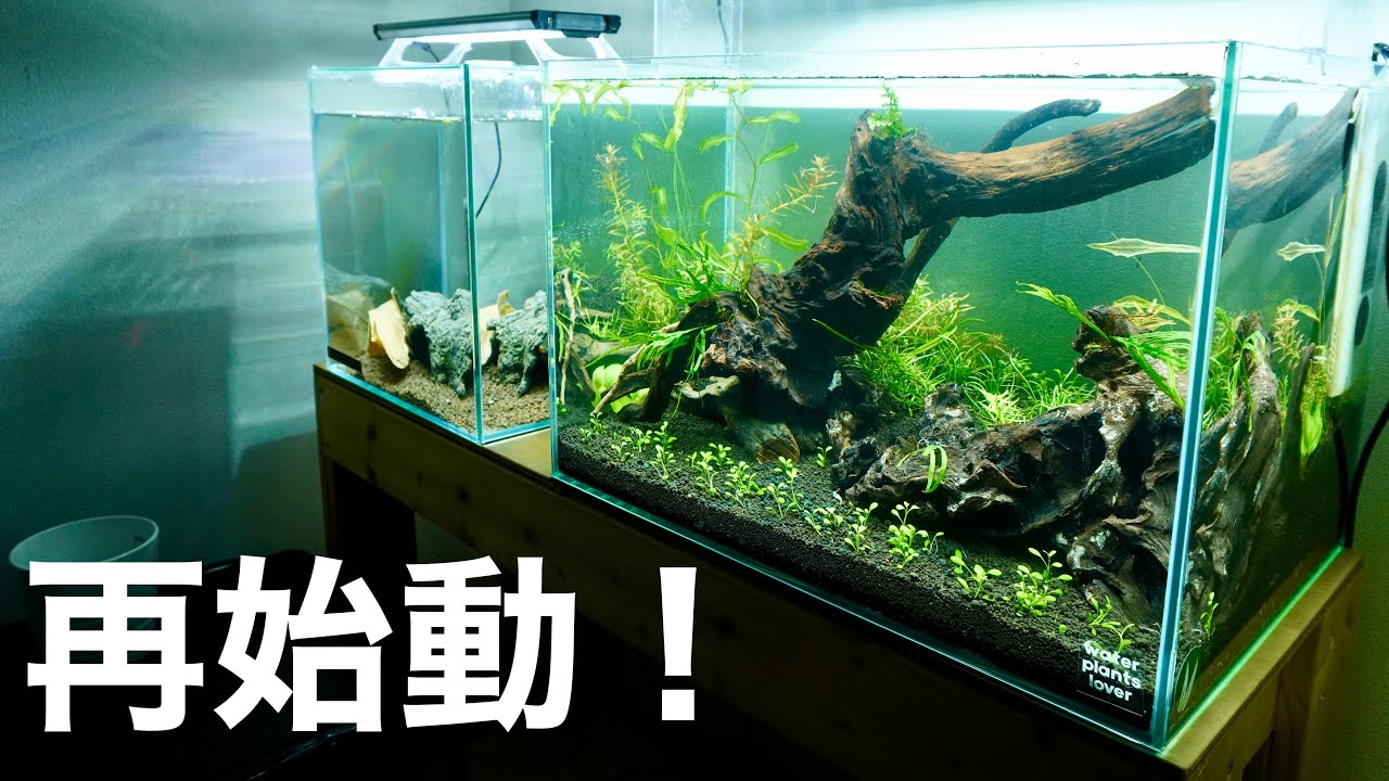 Finally setting up that 45cm tank [Aquarium] - YouTube