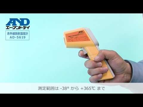 動画