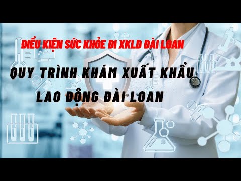 Top 12 Công ty Xuất Khẩu Lao Động Được Khuyên dùng tại Tỉnh Kiên Giang: Cẩm nang Cho Người Mới Bắt Đầu