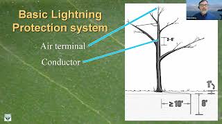 Lightning Damaged Trees w/ Dr Tom Smiley of Bartlett Research Lab