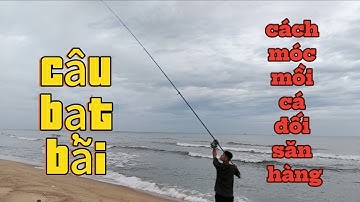Câu bạt bãi, cách móc mồi cá đối săn hàng