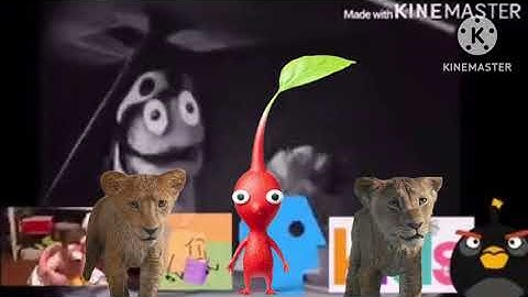 Wilkins Coffee Add Round 8