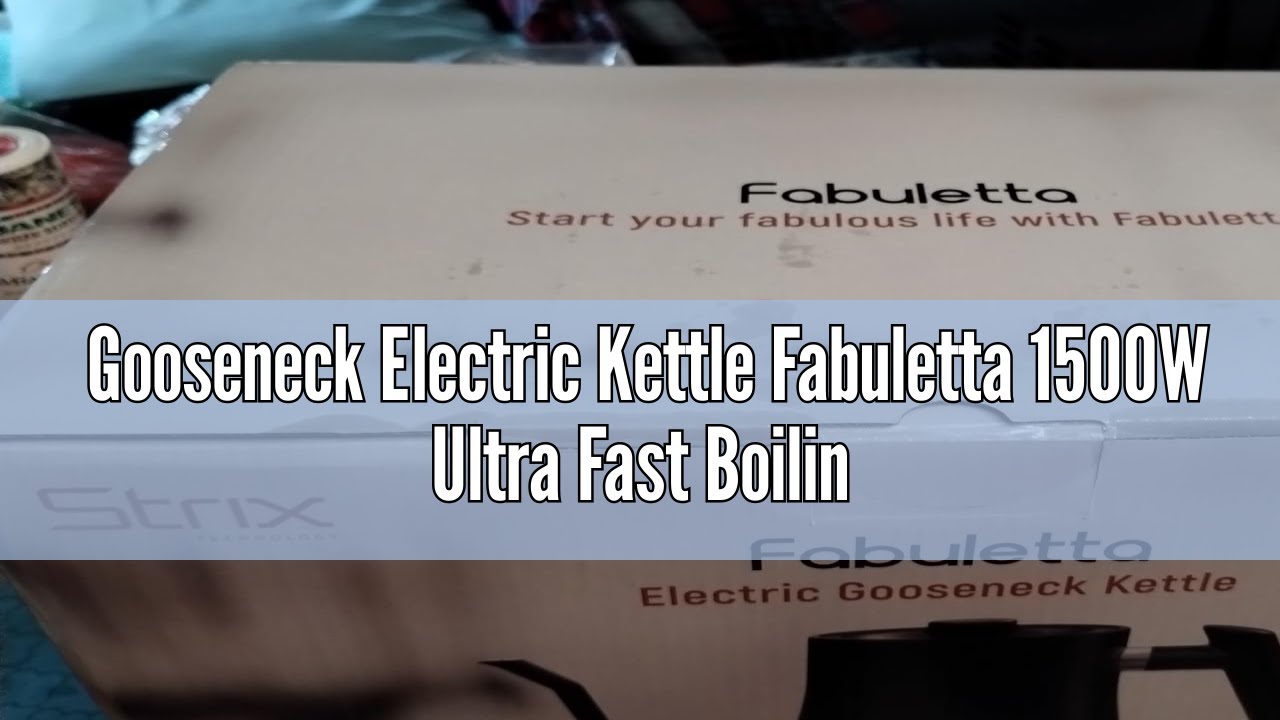 Fabuletta Electric Gooseneck Kettle