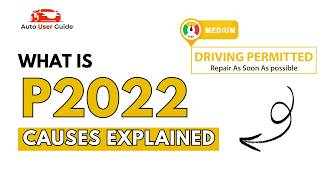 What is P2022: Engine Error Code Causes Explained What is P2022: Engine Error Code Causes Explained