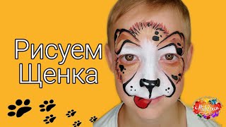 Аквагрим дизайн щенок / Обучение Аквагриму Аквагрим дизайн щенок / Обучение Аквагриму