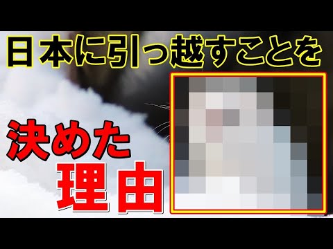 【海外の反応】海外「私もう日本に引っ越す」「私もそれもありかなって…」北海道の動物たちが外国人をメロメロに【世界のJAPAN】