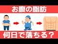 お腹の脂肪を落とすのに必要な日数とやるべき事を解説します！