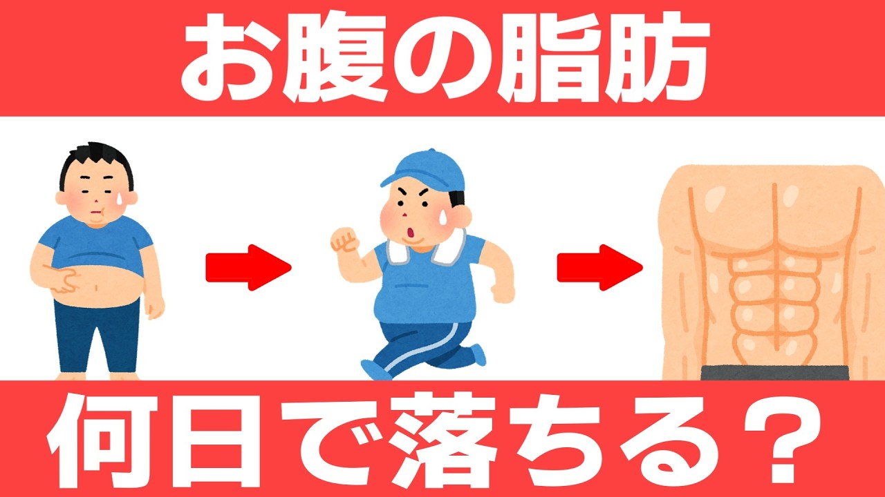 お腹の脂肪を落とすのに必要な日数とやるべき事を解説します！