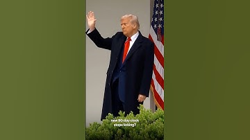 Why Trump Unleashed Tariff Chaos