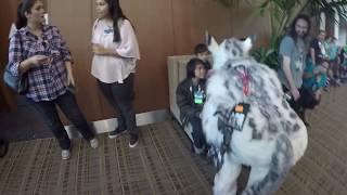 Califur XIII - Registration, Night Dance and Fursuit parade