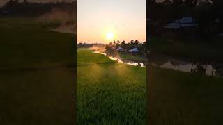 শিতের সকাল drone futage #dronefootage #drone #winter #peacefulnature #mindrelaxing #4knaturevideo