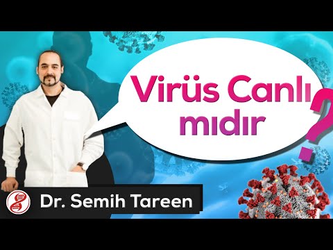 Video: Virüs Canlı Bir Organizma Mı