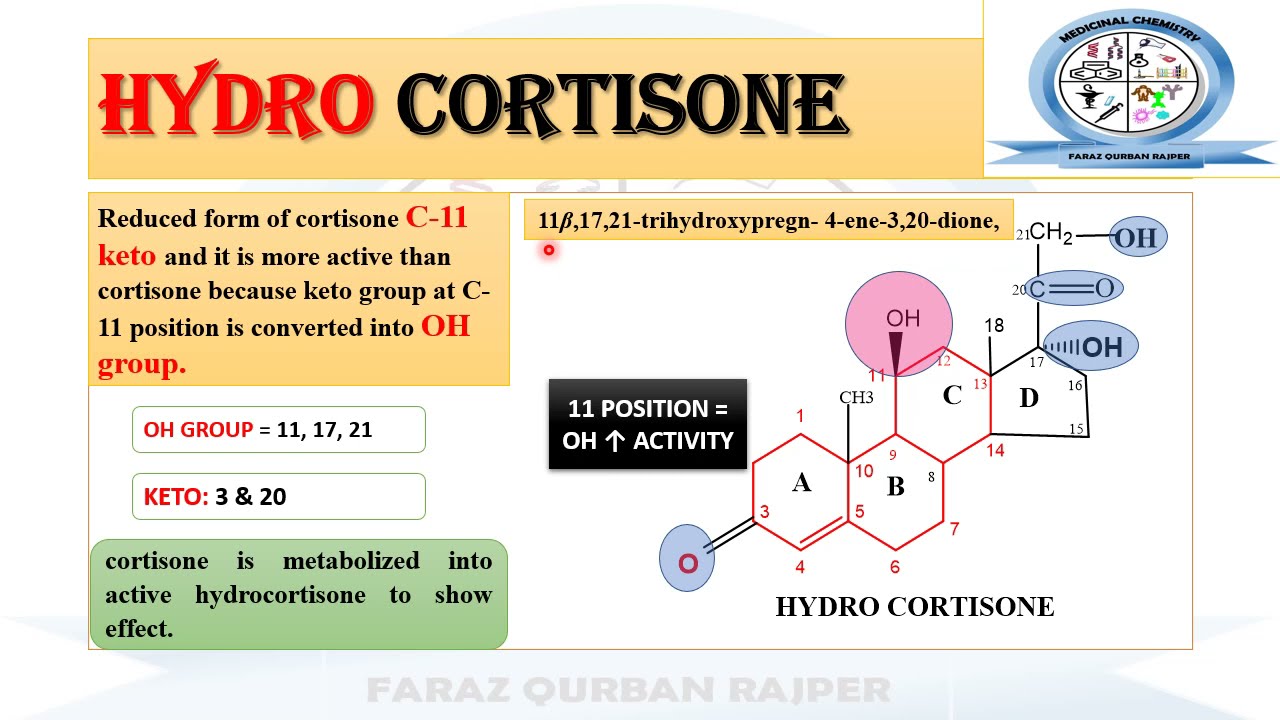 Structure Activity Relationship SAR of Glucocorticoids & Mineralocorticoids | MEDICINAL CHEMISTRY