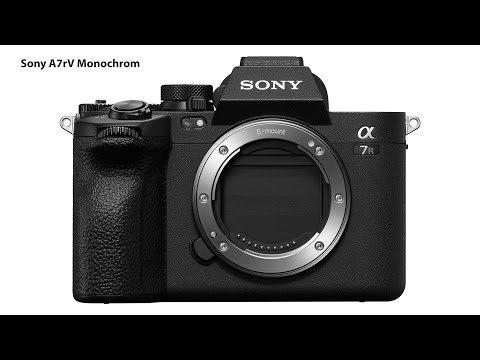 The Sony A7rV monochrom would have increased sharpness and one stop higher dynamic range!