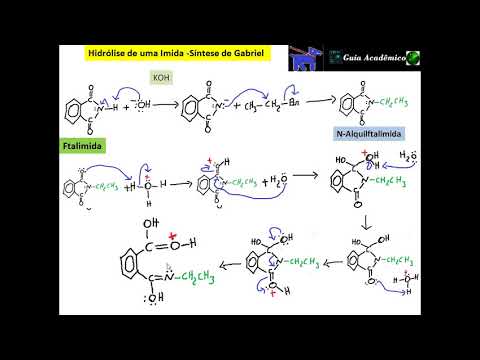 Vídeo: Em que a ftalimida é solúvel?