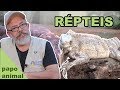 PAPO ANIMAL #4 - REPTEIS | SERGIO RANGEL