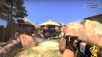 Best ace in Zoo | CS GO